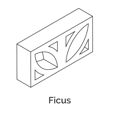 Ficus