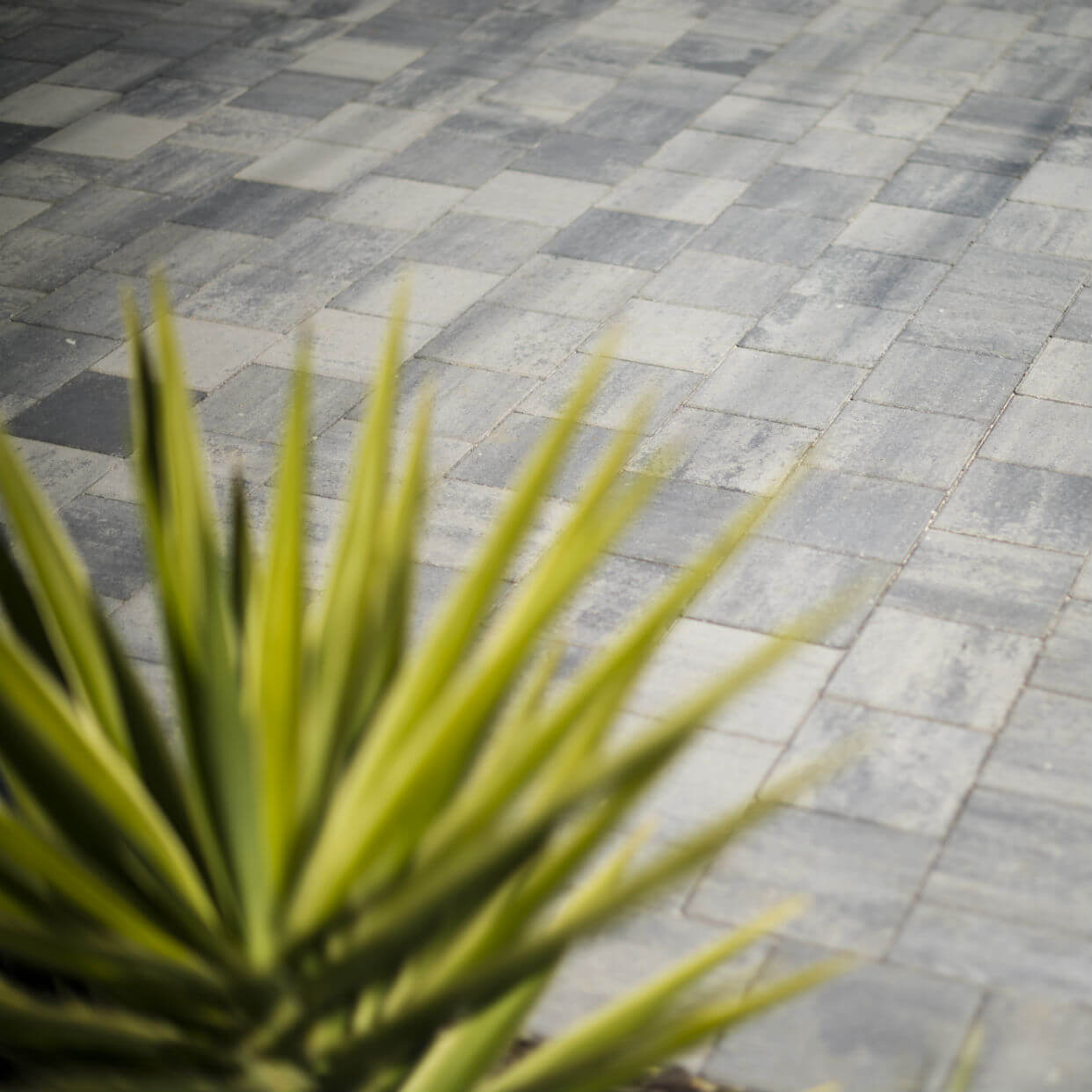 Masterpave Classic 50 - Midland Brick